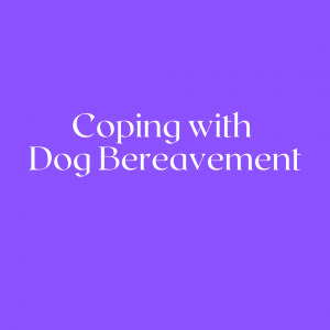 Dog bereavement