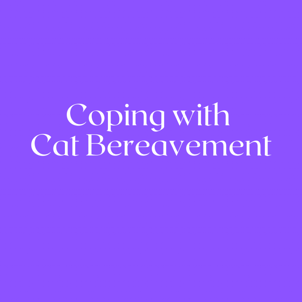Cat bereavement