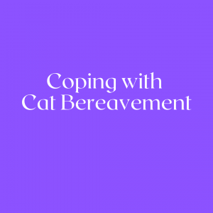 Cat bereavement
