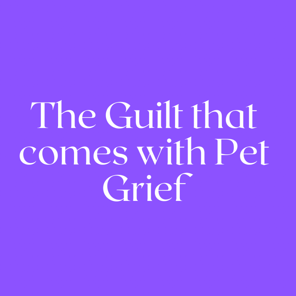 Pet Grief